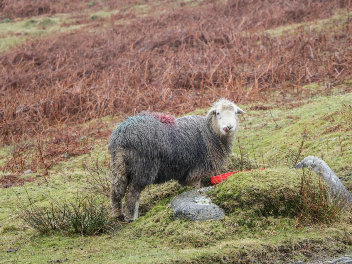 Howgill * Kendal